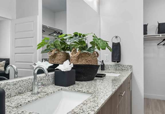 A bathroom with a marble countertop and a plant on it.