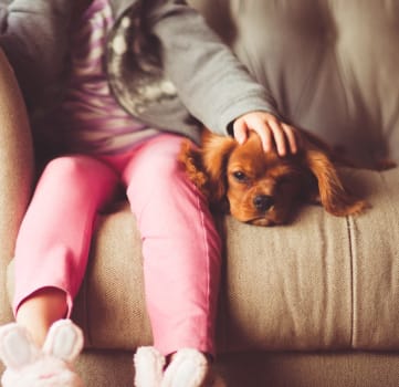 Little Girl and Dog Sitting On Couch
