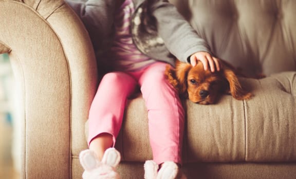 Little Girl and Dog Sitting On Couch