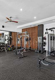 A gym with a variety of equipment including weights and a bench press.