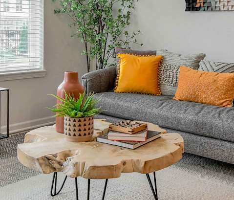A living room with a grey couch, a coffee table with a plant and books on it, and a green plant in the corner.