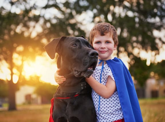 a boy with his dog in the park