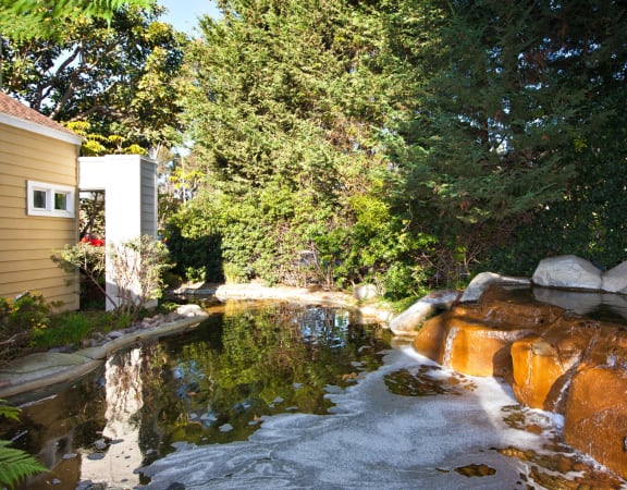 a waterfall in the backyard of a house