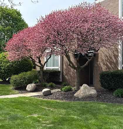 Greenspace Walking Trails at Eton Square Apartments and Townhomes, Birmingham, 48009