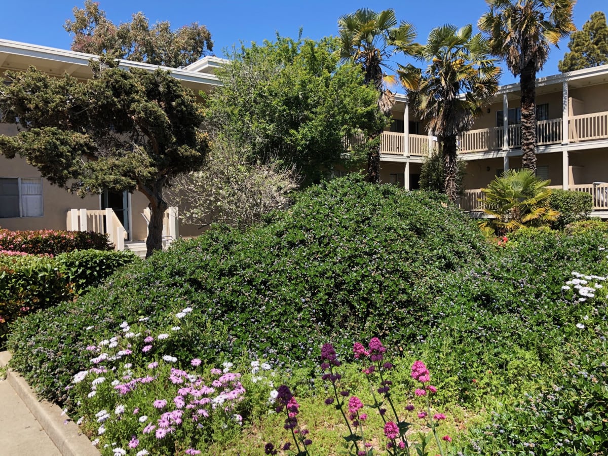 Photos and Video of Corcoran Gardens Apartments in Santa Cruz, CA