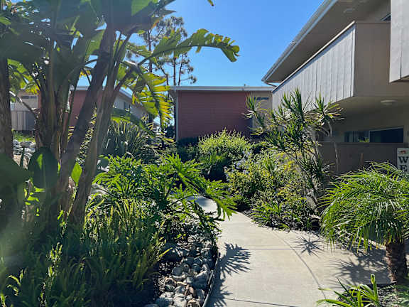 a walkway through a garden in front of a building