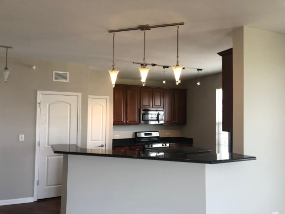 Kitchen bar at Regency Place, Oakbrook Terrace, IL, 60181