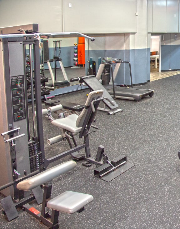 a picture of a gym with a variety of exercise equipment at Delmar Loop Apartments, St. Louis, MO, 63112
