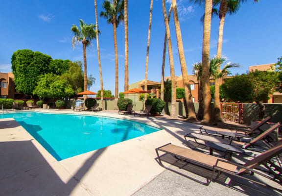 Pool & Pool Patio at Regency Square Apartments in Yuma, AZ