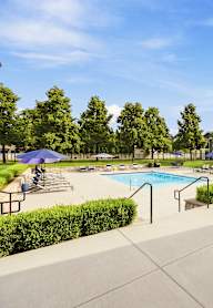 A pool surrounded by lawn chairs and umbrellas.