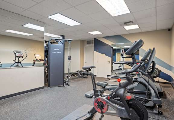 A gym with a row of stationary bikes and a treadmill.