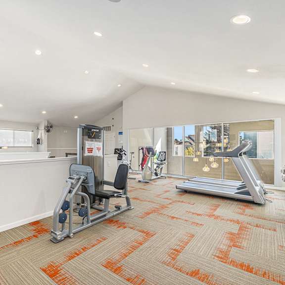 A gym with orange carpeting and various exercise equipment.