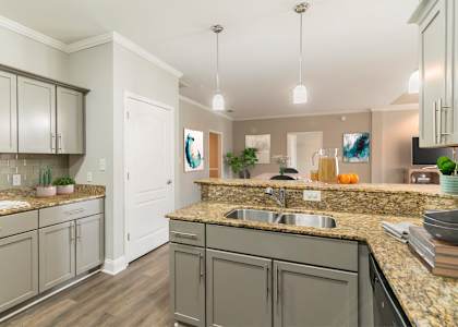 A kitchen with a granite countertop and grey cabinets.