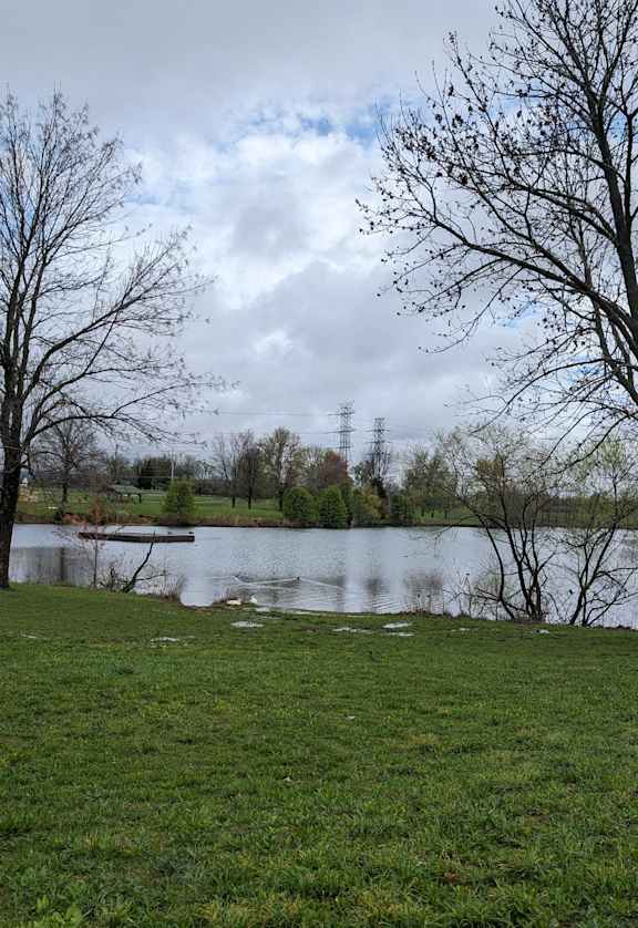 a body of water near some trees and grass