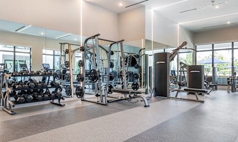 Apartments with a Gym in Tampa FL at Marquee Square