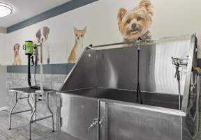 Dog Grooming Station at Brighton Townhomes in Georgia 30102