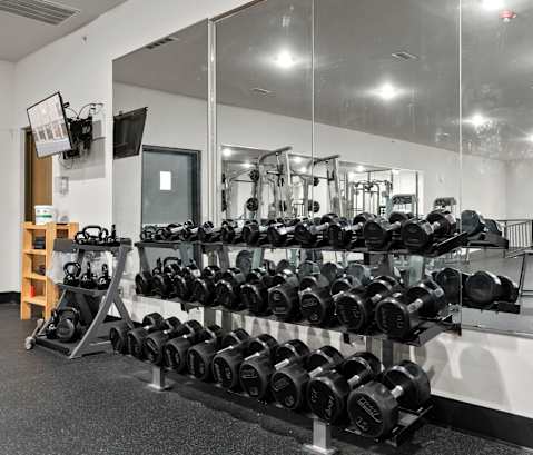A gym with a mirrored wall and a rack of dumbbells.
