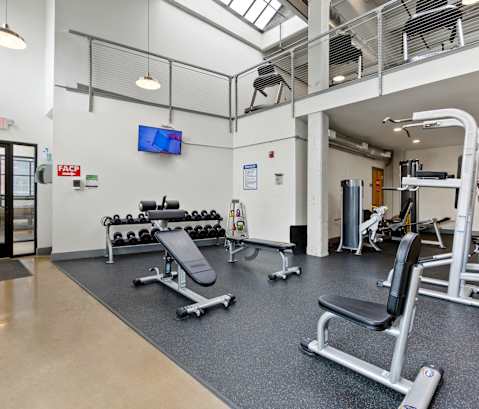 A gym with a variety of equipment including weights and a treadmill.