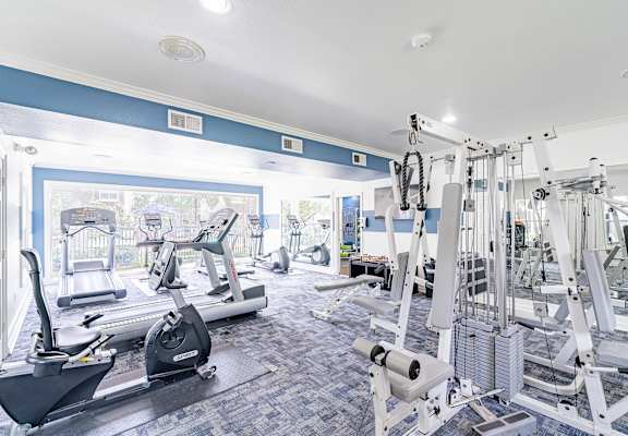A gym with a variety of exercise equipment including treadmills, stationary bikes, and weight machines.