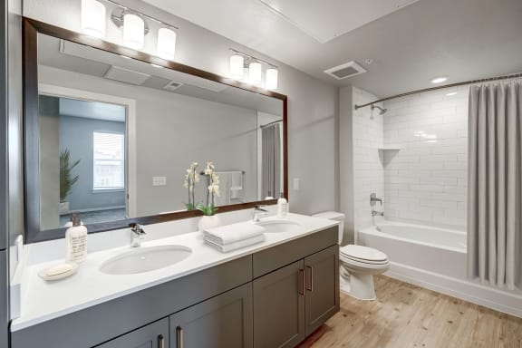 The Tenzing-Gray Bathroom