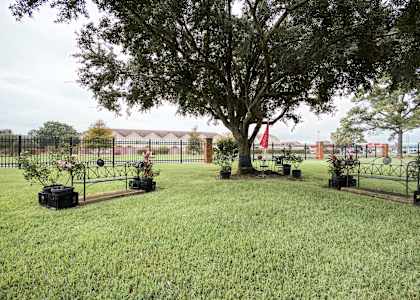 A tree in a pot sits in the middle of a grassy area.