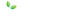 A logo for Bloom Property Management with a large white number 6 and green leaves.
