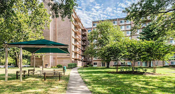 A green canopy is set up over a picnic table in a grassy area.