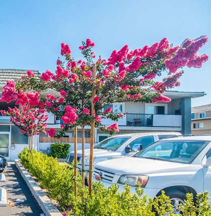 A parking lot with cars and a building in the background.