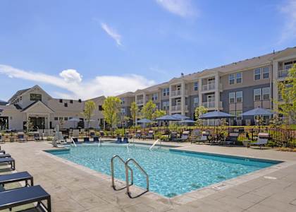 A large swimming pool surrounded by lounge chairs and umbrellas.