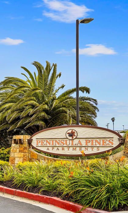the entrance with a sign and palm trees