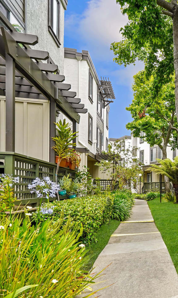 a sidewalk in front of apartments with green grass and trees