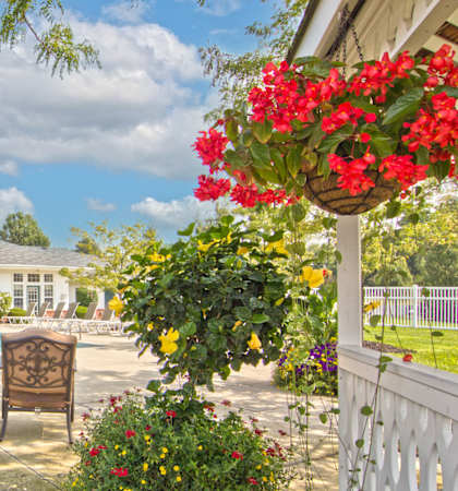 a backyard with a pool and chairs and flowers