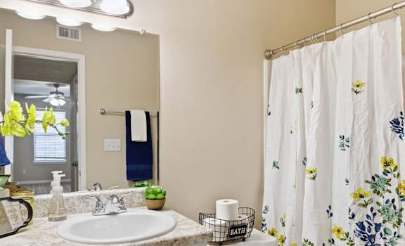A bathroom with a sink, mirror, and shower curtain.