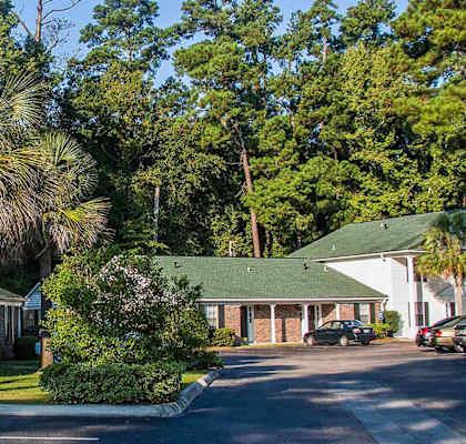 A white house with a green roof and a palm tree in front.