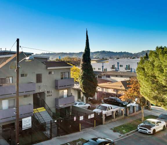 A sunny day in a residential area with cars parked on the street.