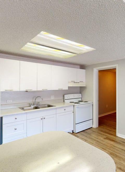 Apartment kitchen area at Mount Dora Apartments