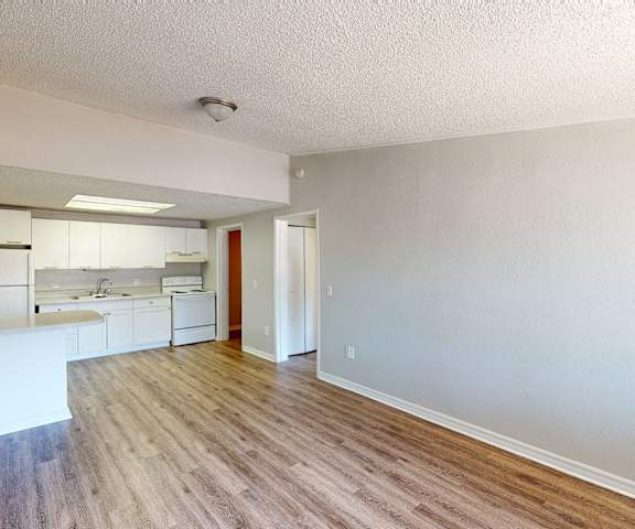 a kitchen and living room in an apartment at Mount Dora Apartments