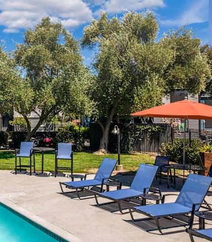 the enclave at homecoming terra vista pool