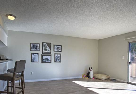 A room with a chair, a dog, and pictures on the wall.