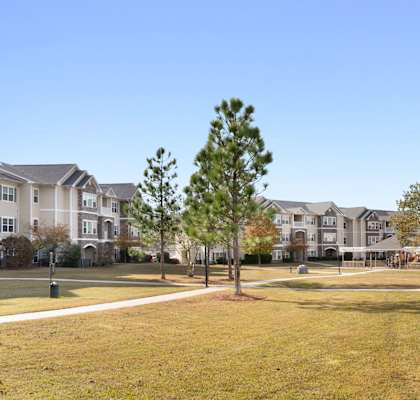 A tree stands in a grassy field in front of apartment buildings. at Stone Gate Apartments, Spring Lake, North Carolina