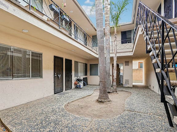 A courtyard with a tree and a small fountain in the middle.