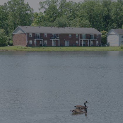 a duck swimming in a lake in front of a building
