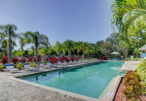 Outdoor Invigorating Swimming Pool at The Preserve at Westchase in Tampa, FL