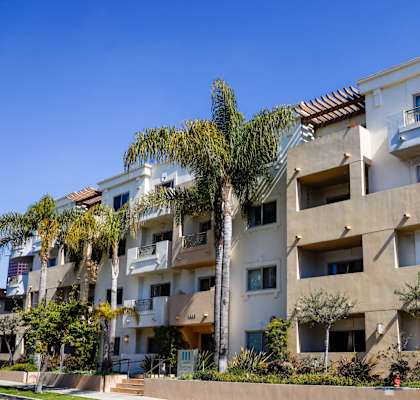 an image of a building with palm trees in front of it
