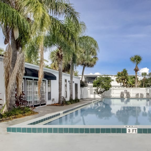 Derby Park Apartments in Daytona Beach, FL photo of a swimming pool with palm trees