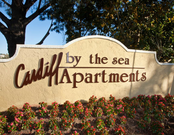 a sign for civility by the sea apartments in front of a tree
