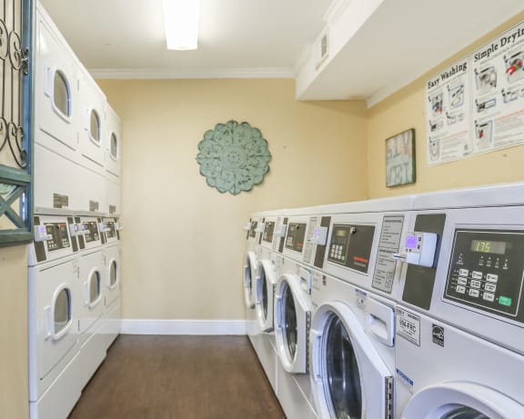 Photo Gallery Image
