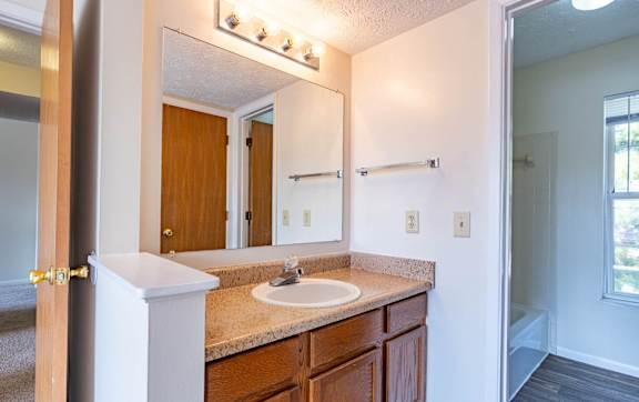 A bathroom with a sink, mirror, and wooden cabinets.