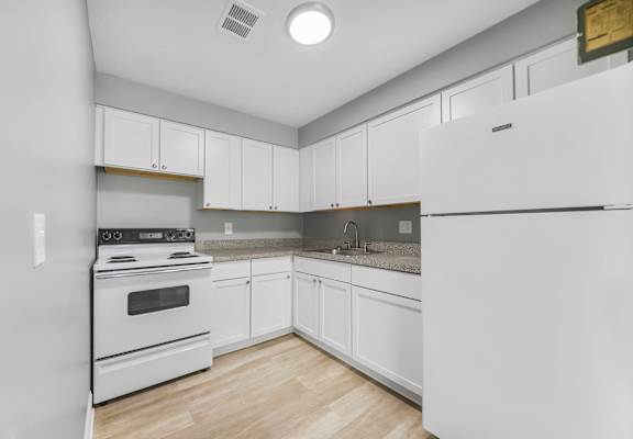 Newly Renovated Kitchen
