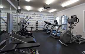 A gym with a row of treadmills and elliptical machines.